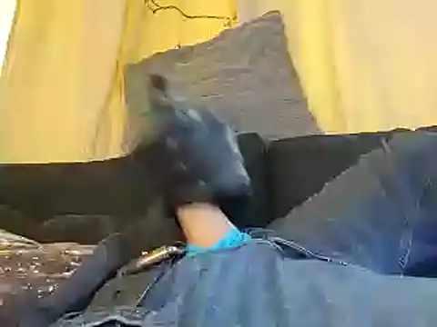 bwcbeat83 online show from January 2025 11:45:01 PM