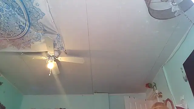 Snapshot of hunybunz69 chatting on February 2025 06:31:01 PM hunybunz69 online show from February 2025 06:31:01 PM