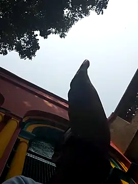 Snapshot of xx54362 chatting on March 2025 07:19:02 AM xx54362 online show from March 2025 07:19:02 AM