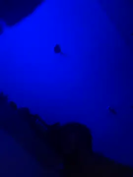 Raziv komal143 online show from February 2025 12:14:01 AM