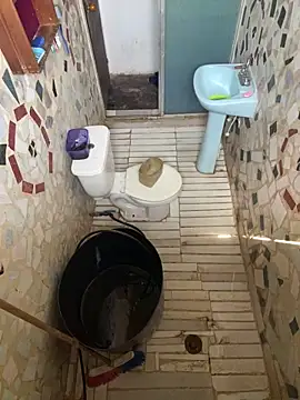 Snapshot of XXXTOKIO22 chatting on February 2026 03:19:02 PM XXXTOKIO22 online show from February 2026 03:19:02 PM