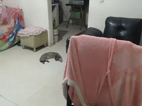 Snapshot of Yohis_Kiut25 chatting on February 2025 02:47:02 AM Yohis Kiut25 online show from February 2025 02:47:02 AM