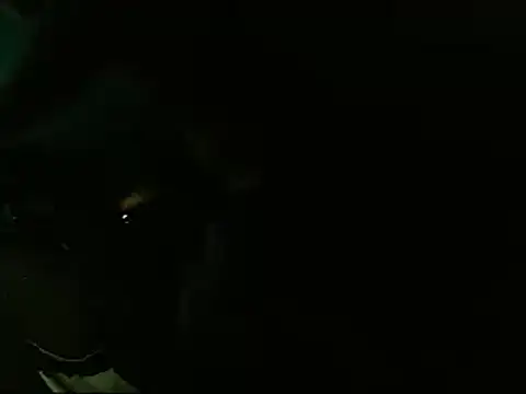 Snapshot of Lliam_2 chatting on January 2025 06:31:02 AM Lliam 2 online show from January 2025 06:31:02 AM