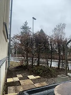 Snapshot of Ciara2004 chatting on February 2026 01:27:02 PM Ciara2004 online show from February 2026 01:27:02 PM