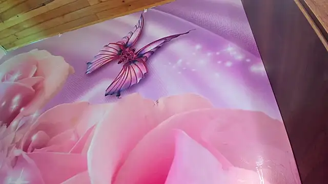 Snapshot of emili_clark chatting on March 2025 10:39:02 AM emili clark online show from March 2025 10:39:02 AM