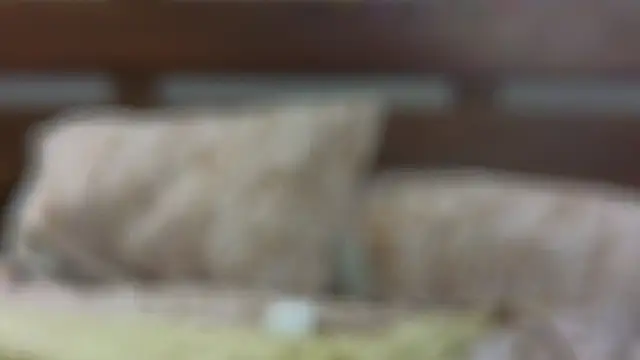 Snapshot of SallyCha chatting on February 2025 12:15:02 AM SallyCha online show from February 2025 12:15:02 AM