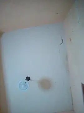 Snapshot of LuisMex1998 chatting on November 2025 02:21:01 AM LuisMex1998 online show from November 2025 02:21:01 AM