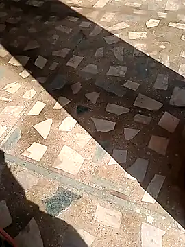 Snapshot of Raj41 chatting on November 2025 04:44:02 AM Raj41 online show from November 2025 04:44:02 AM