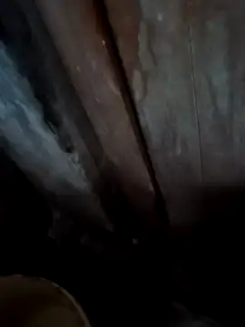 Snapshot of Raj41 chatting on November 2025 01:19:02 AM Raj41 online show from November 2025 01:19:02 AM