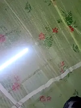 Snapshot of Raj41 chatting on November 2025 11:52:01 PM Raj41 online show from November 2025 11:52:01 PM