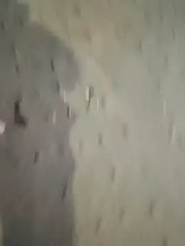 Snapshot of Raj41 chatting on December 2025 12:24:02 PM Raj41 online show from December 2025 12:24:02 PM