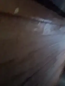 Snapshot of Raj41 chatting on January 2026 12:58:01 AM Raj41 online show from January 2026 12:58:01 AM