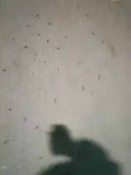 Snapshot of Raj41 chatting on January 2026 04:21:02 PM Raj41 online show from January 2026 04:21:02 PM