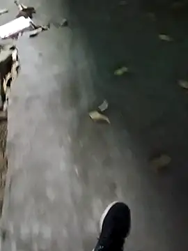 Snapshot of Raj41 chatting on January 2026 02:44:02 PM Raj41 online show from January 2026 02:44:02 PM