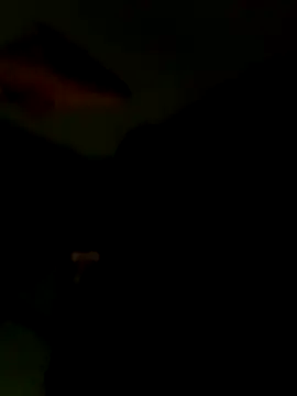 Snapshot of Raj41 chatting on January 2026 06:44:02 PM Raj41 online show from January 2026 06:44:02 PM