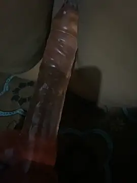 Snapshot of SL_Aki chatting on April 2026 08:26:01 PM SL Aki online show from April 2026 08:26:01 PM