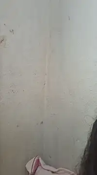 novinhatransexy online show from February 2025 06:01:01 PM