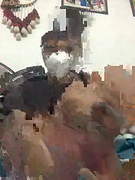 punjabi munda38 online show from January 2025 03:55:02 PM