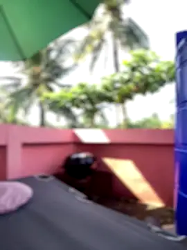 Snapshot of White_Lu chatting on September 2025 02:04:02 AM White Lu online show from September 2025 02:04:02 AM