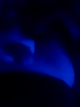 MAKAYALE7949 online show from February 2026 12:23:02 PM