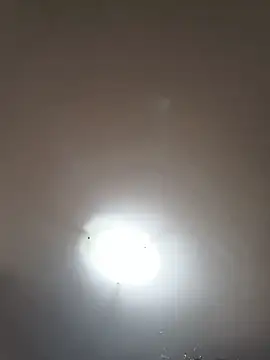 topina8 online show from June 2026 02:17:02 PM