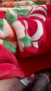 mhmia online show from January 2025 03:40:01 PM