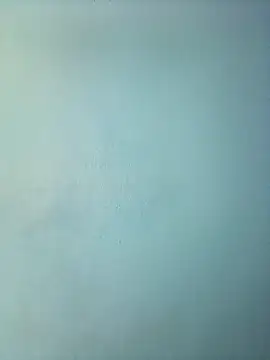 Snapshot of randit7 chatting on March 2025 11:53:01 AM randit7 online show from March 2025 11:53:01 AM