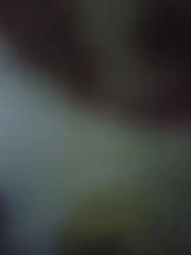 Snapshot of randit7 chatting on November 2025 04:22:02 AM randit7 online show from November 2025 04:22:02 AM