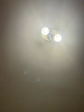 bunnythetailor online show from April 2026 06:41:01 PM