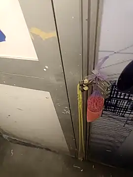 wadmma online show from February 2025 07:10:01 PM