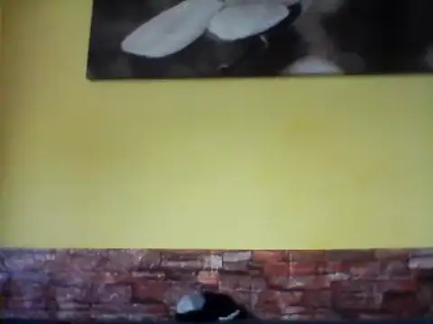 sexy lady2 online show from February 2025 10:07:01 AM