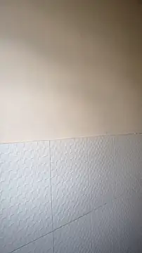 JapeDoBryan online show from May 2026 10:55:02 AM