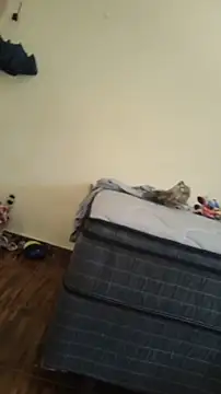 JapeDoBryan online show from May 2026 06:28:02 PM