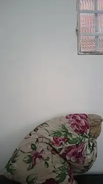 JapeDoBryan online show from May 2026 10:43:01 AM