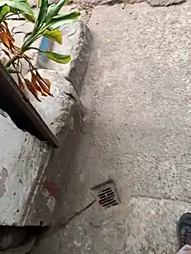 Snapshot of sethgamble000777 chatting on December 2025 09:05:02 AM sethgamble000777 online show from December 2025 09:05:02 AM