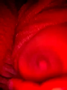 Snapshot of bestfriend-shikha chatting on February 2025 09:18:02 PM bestfriend-shikha online show from February 2025 09:18:02 PM