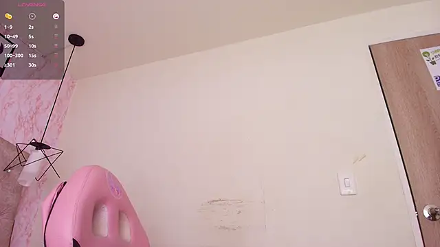 Snapshot of Raichell_ chatting on February 2026 03:46:02 AM Raichell online show from February 2026 03:46:02 AM