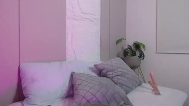 dalila harris online show from February 2026 12:55:01 PM