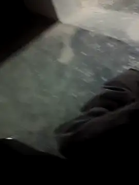 Snapshot of omni_333 chatting on February 2026 01:36:02 PM omni 333 online show from February 2026 01:36:02 PM