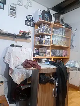 Snapshot of rodos chatting on September 2025 12:49:02 PM rodos online show from September 2025 12:49:02 PM