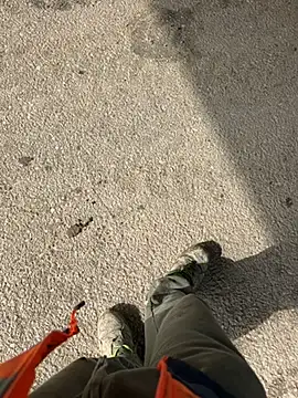 Snapshot of dominationmybigdick chatting on March 2025 10:37:01 AM dominationmybigdick online show from March 2025 10:37:01 AM