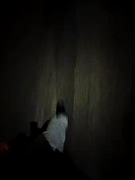 Snapshot of dominationmybigdick chatting on October 2025 09:30:01 PM dominationmybigdick online show from October 2025 09:30:01 PM