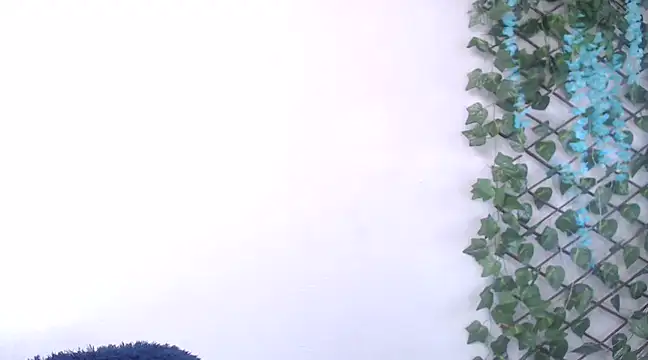 7 Saturno 7 online show from February 2025 12:43:02 PM