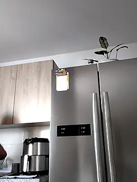 Snapshot of hema_gold chatting on October 2025 03:12:02 PM hema gold online show from October 2025 03:12:02 PM