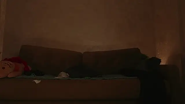 Snapshot of WildaHeldreth chatting on February 2025 06:51:02 PM WildaHeldreth online show from February 2025 06:51:02 PM