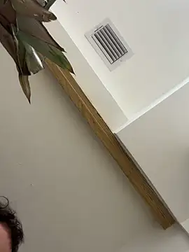 Bicho13132 online show from October 2025 06:23:02 AM