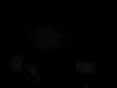 Snapshot of Foxtrott_242 chatting on September 2025 11:48:01 PM Foxtrott 242 online show from September 2025 11:48:01 PM