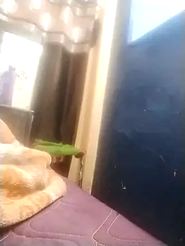 neha007-K online show from March 2025 07:18:01 PM