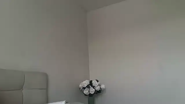 Snapshot of skyejde chatting on November 2025 09:17:02 AM skyejde online show from November 2025 09:17:02 AM