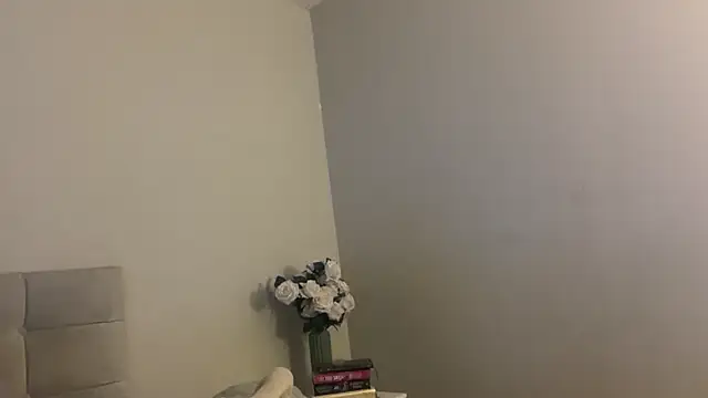 Snapshot of skyejde chatting on November 2025 06:12:01 PM skyejde online show from November 2025 06:12:01 PM